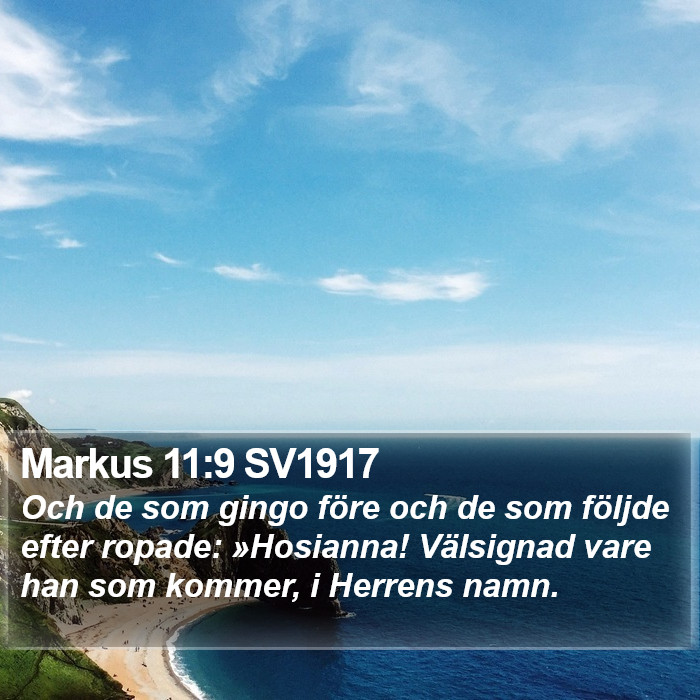 Markus 11:9 SV1917 Bible Study