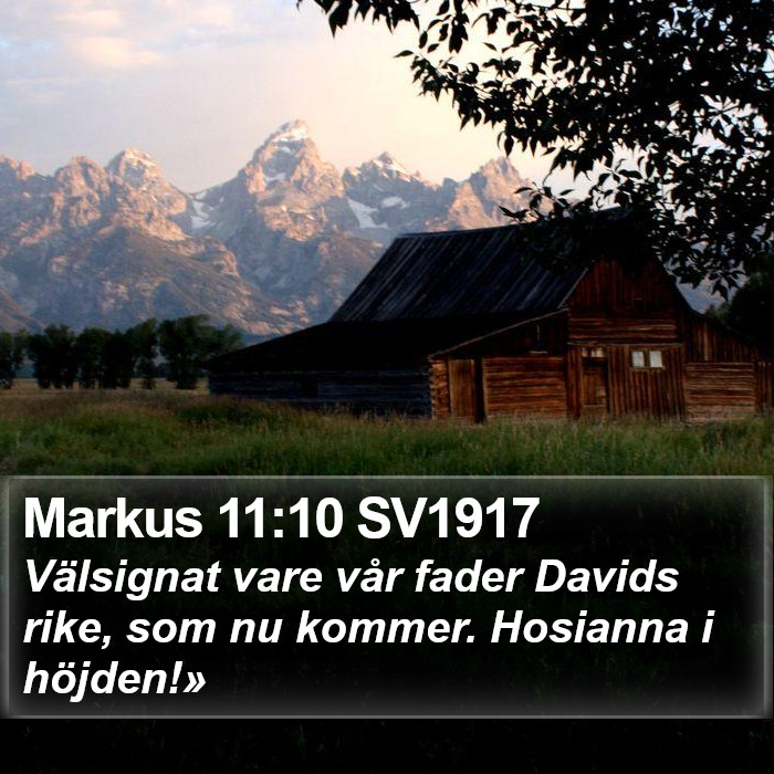 Markus 11:10 SV1917 Bible Study