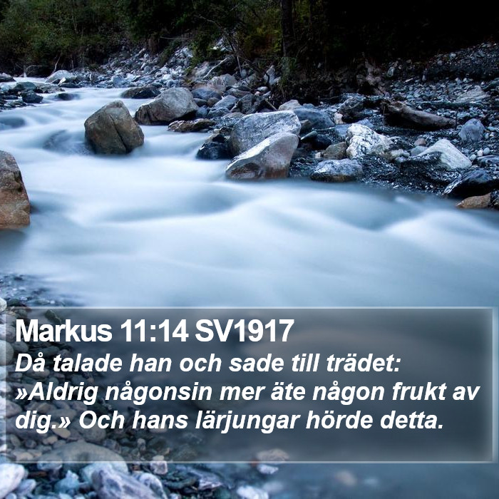 Markus 11:14 SV1917 Bible Study