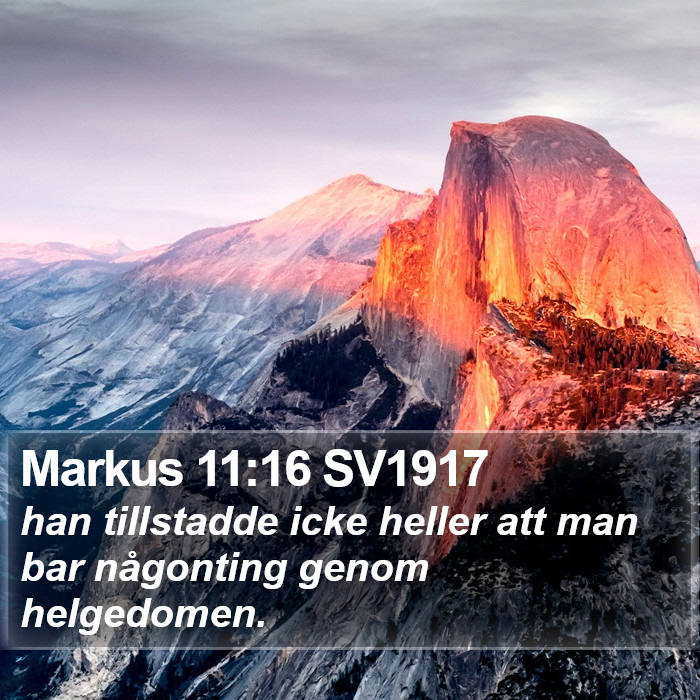 Markus 11:16 SV1917 Bible Study