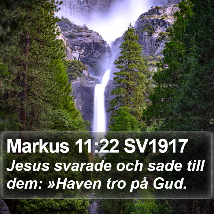 Markus 11:22 SV1917 Bible Study