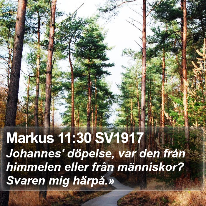 Markus 11:30 SV1917 Bible Study