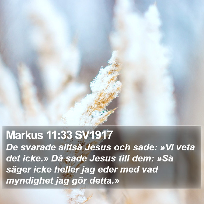 Markus 11:33 SV1917 Bible Study