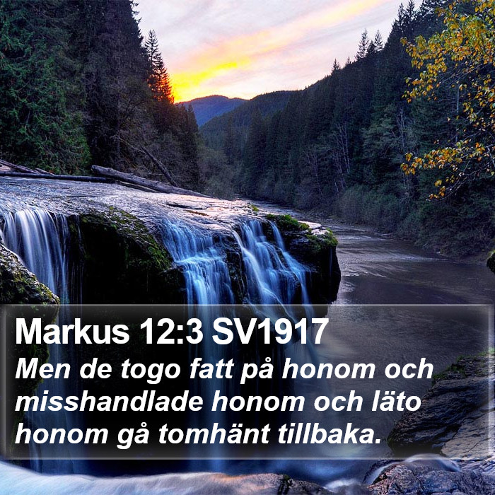 Markus 12:3 SV1917 Bible Study