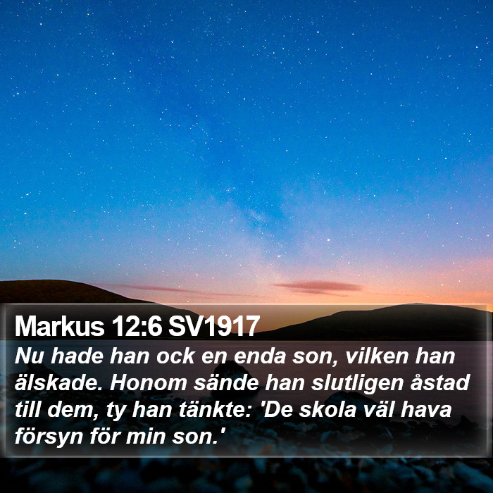 Markus 12:6 SV1917 Bible Study