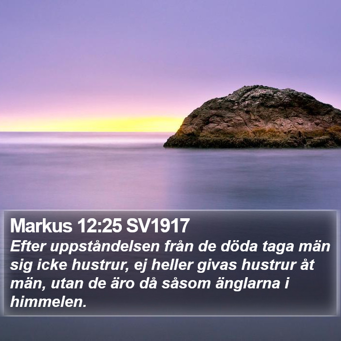 Markus 12:25 SV1917 Bible Study