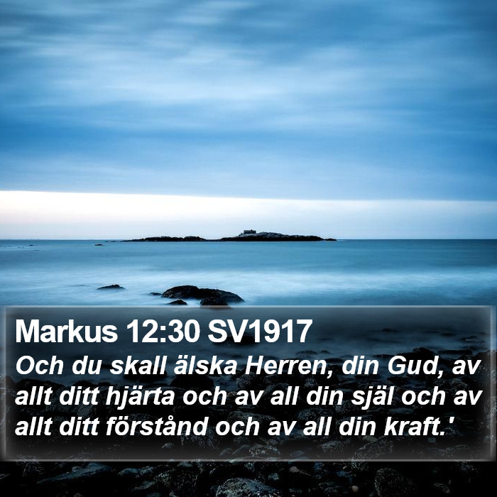 Markus 12:30 SV1917 Bible Study