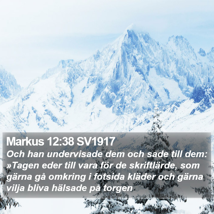 Markus 12:38 SV1917 Bible Study