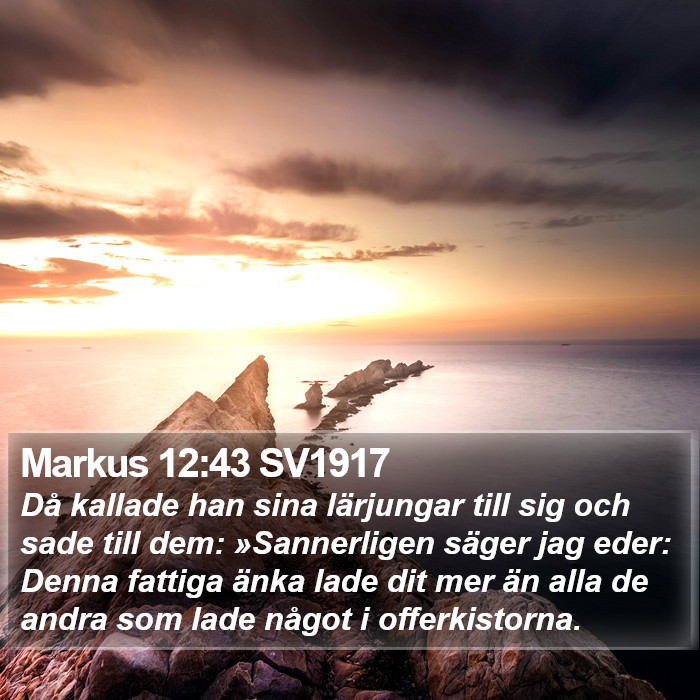 Markus 12:43 SV1917 Bible Study