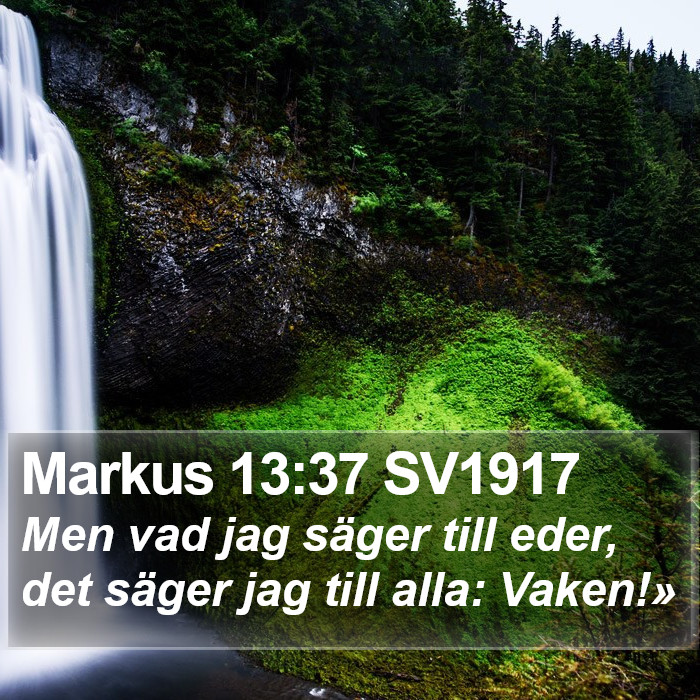 Markus 13:37 SV1917 Bible Study