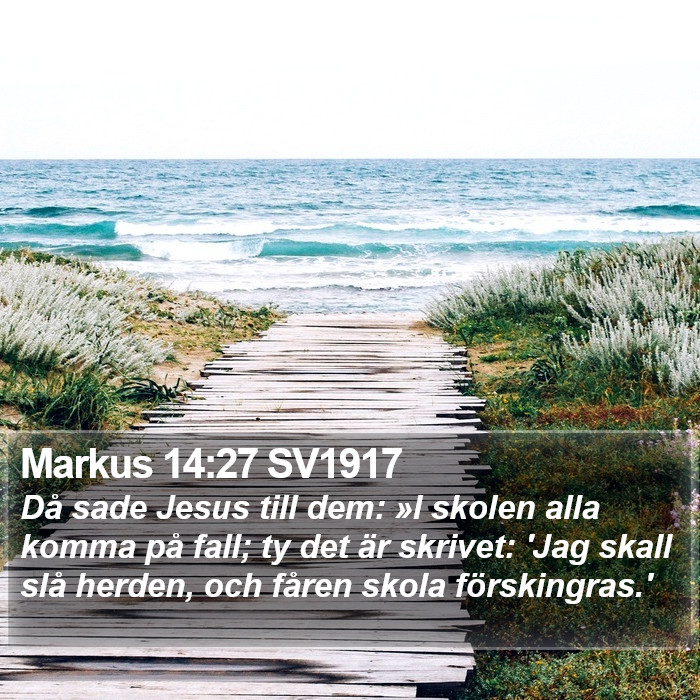 Markus 14:27 SV1917 Bible Study