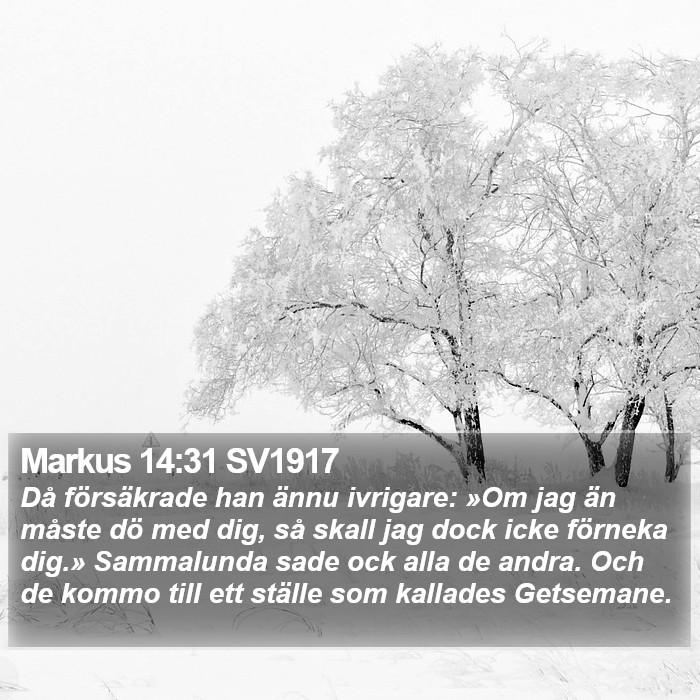 Markus 14:31 SV1917 Bible Study