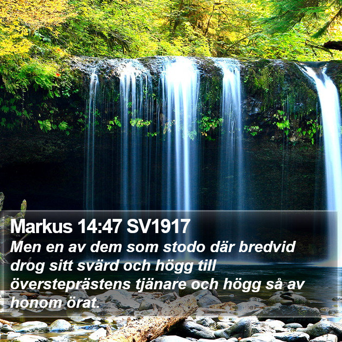 Markus 14:47 SV1917 Bible Study