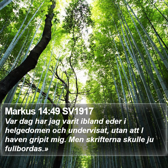 Markus 14:49 SV1917 Bible Study