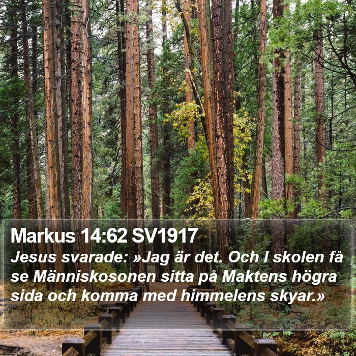 Markus 14:62 SV1917 Bible Study