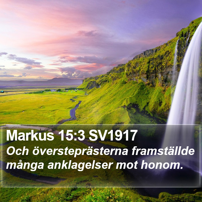 Markus 15:3 SV1917 Bible Study