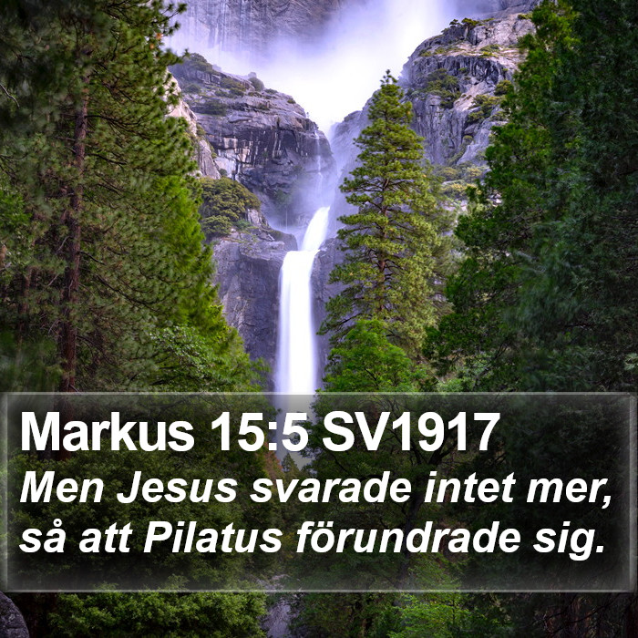 Markus 15:5 SV1917 Bible Study