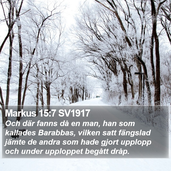 Markus 15:7 SV1917 Bible Study