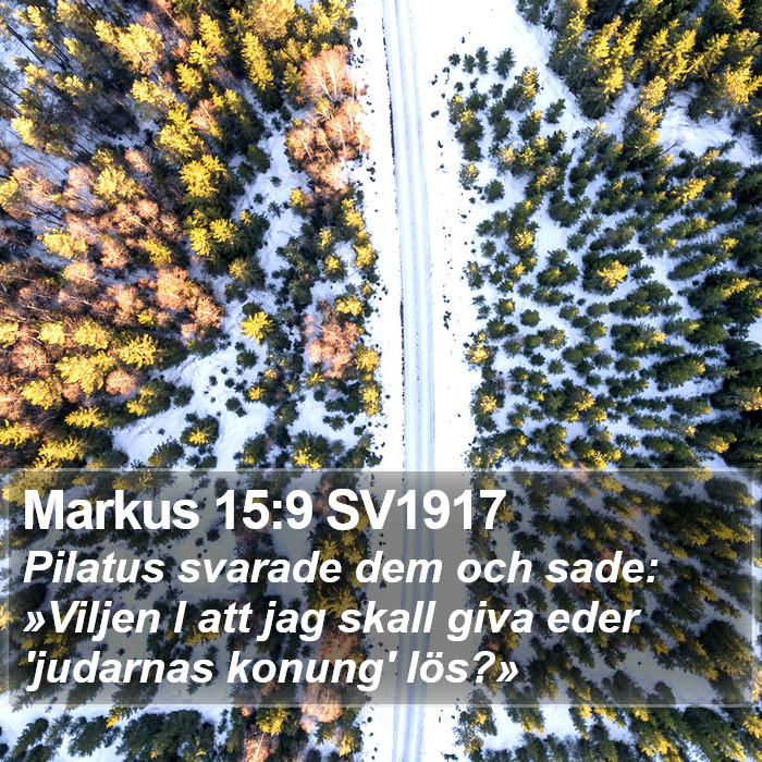 Markus 15:9 SV1917 Bible Study