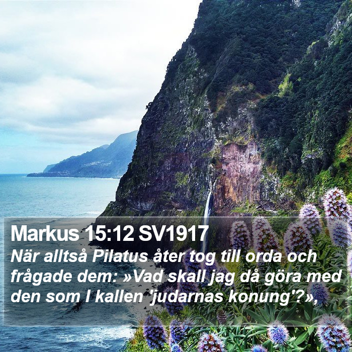 Markus 15:12 SV1917 Bible Study