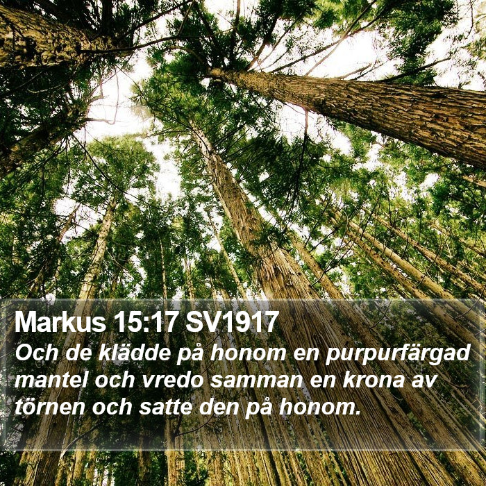 Markus 15:17 SV1917 Bible Study