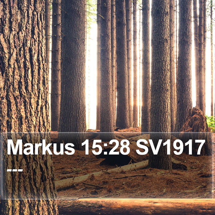 Markus 15:28 SV1917 Bible Study