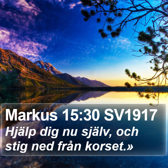 Markus 15:30 SV1917 Bible Study