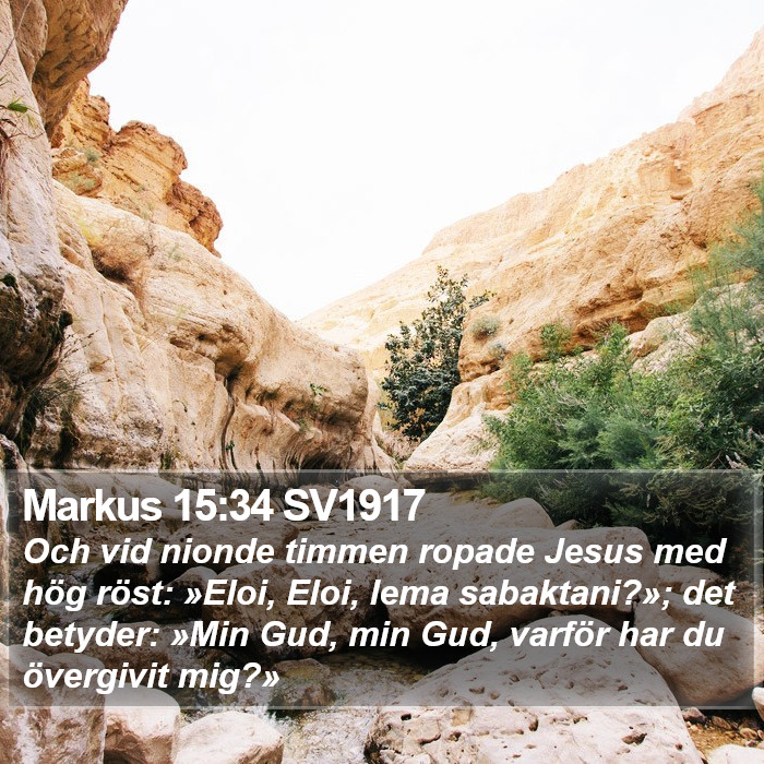 Markus 15:34 SV1917 Bible Study