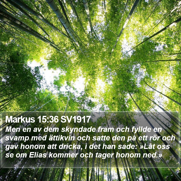 Markus 15:36 SV1917 Bible Study