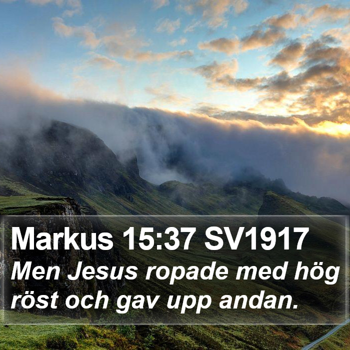 Markus 15:37 SV1917 Bible Study