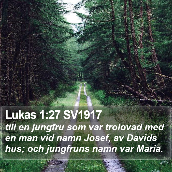 Lukas 1:27 SV1917 Bible Study