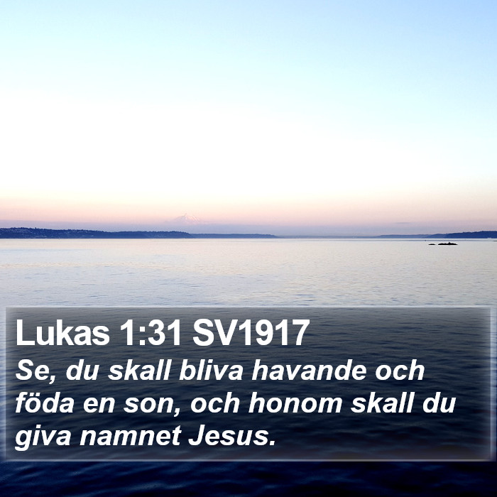 Lukas 1:31 SV1917 Bible Study