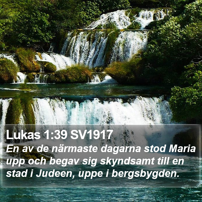 Lukas 1:39 SV1917 Bible Study