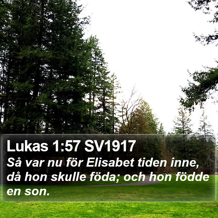 Lukas 1:57 SV1917 Bible Study