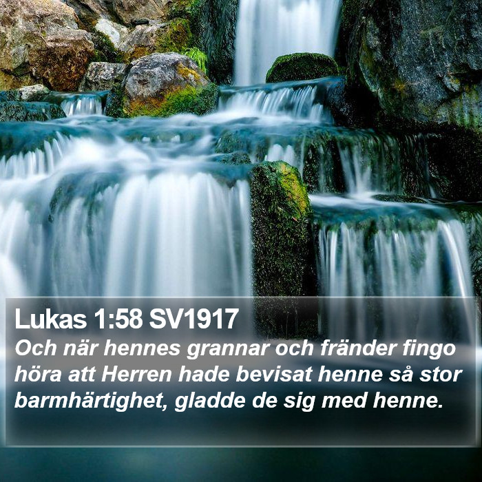 Lukas 1:58 SV1917 Bible Study