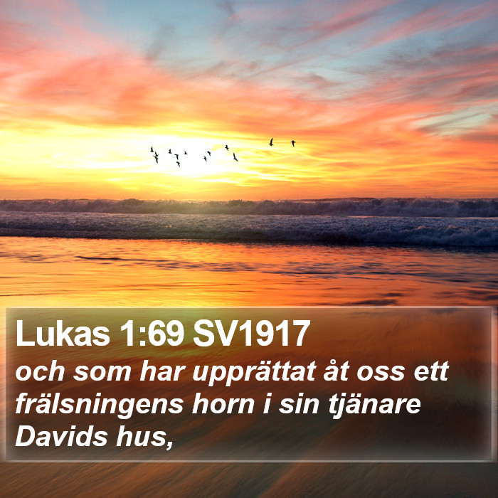 Lukas 1:69 SV1917 Bible Study