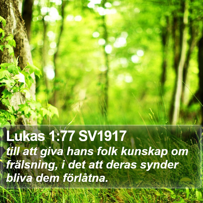 Lukas 1:77 SV1917 Bible Study