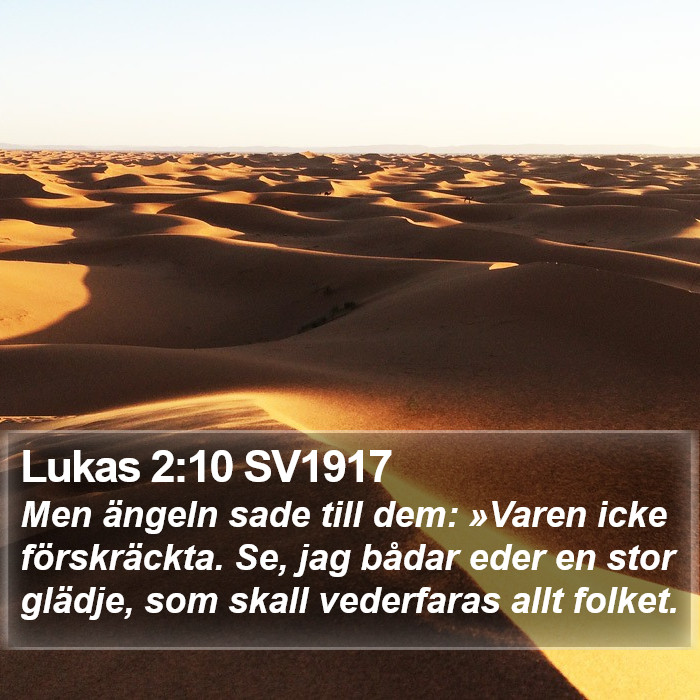 Lukas 2:10 SV1917 Bible Study