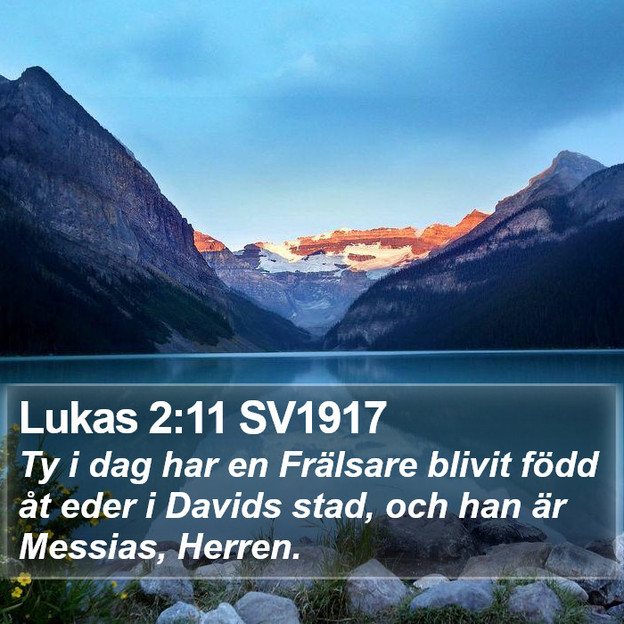 Lukas 2:11 SV1917 Bible Study