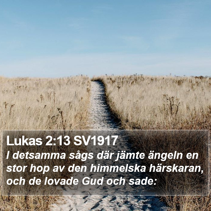 Lukas 2:13 SV1917 Bible Study