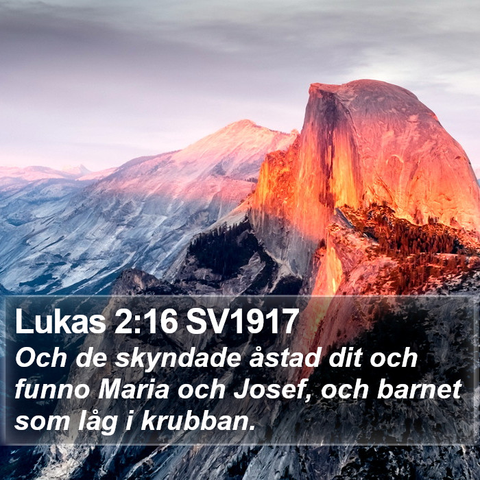 Lukas 2:16 SV1917 Bible Study