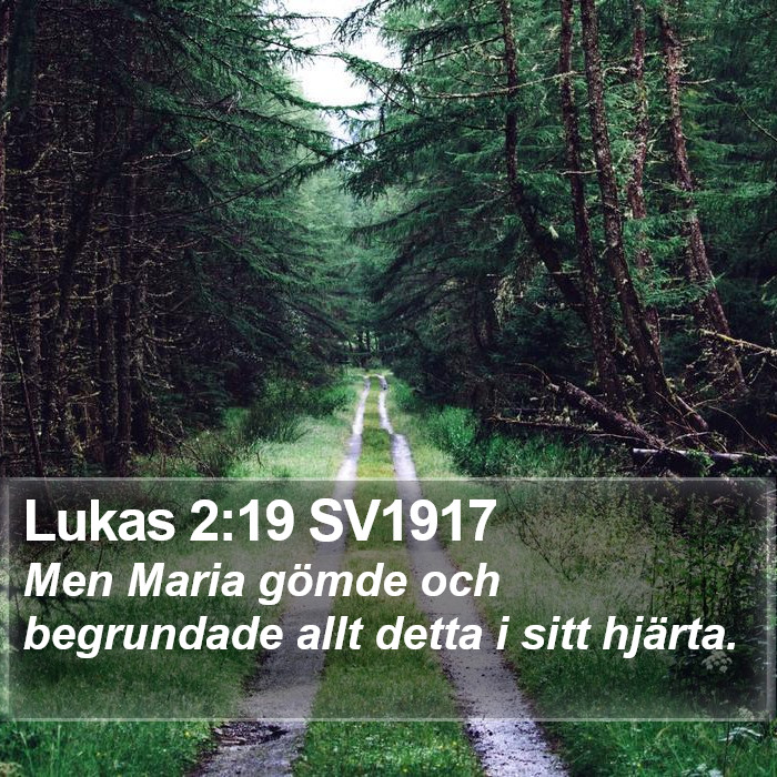 Lukas 2:19 SV1917 Bible Study