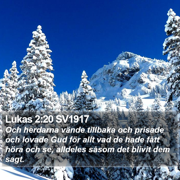 Lukas 2:20 SV1917 Bible Study