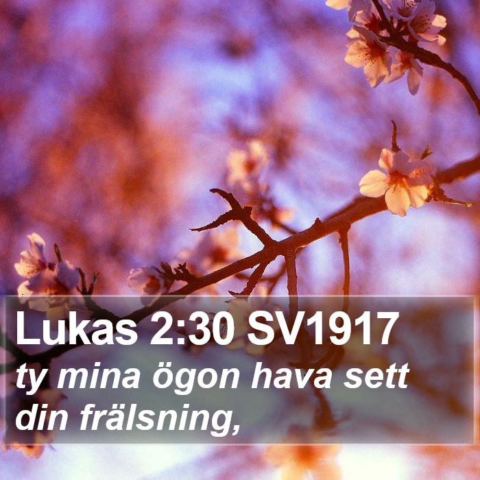 Lukas 2:30 SV1917 Bible Study