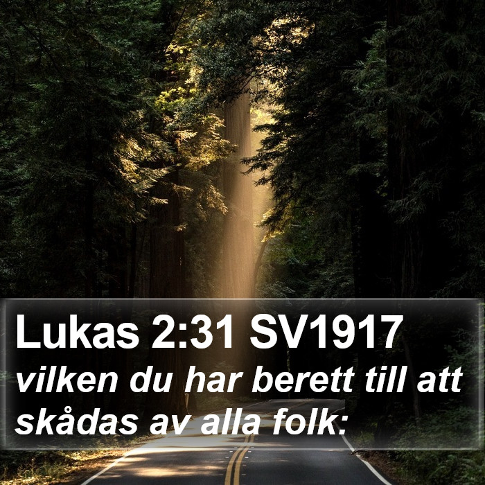 Lukas 2:31 SV1917 Bible Study
