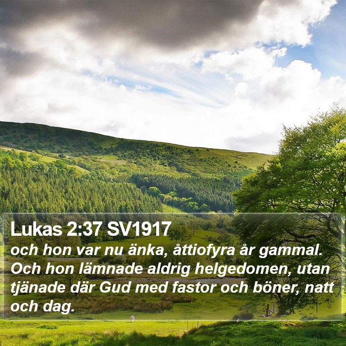 Lukas 2:37 SV1917 Bible Study