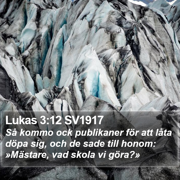 Lukas 3:12 SV1917 Bible Study