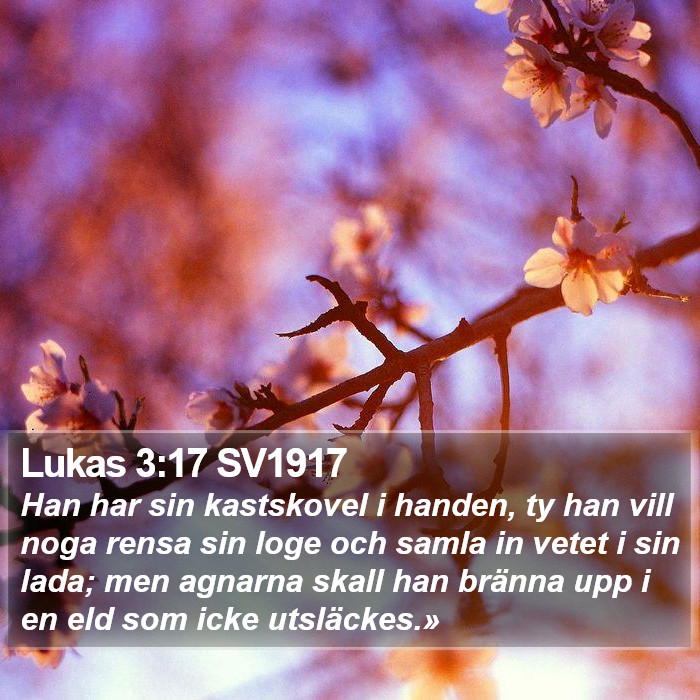 Lukas 3:17 SV1917 Bible Study