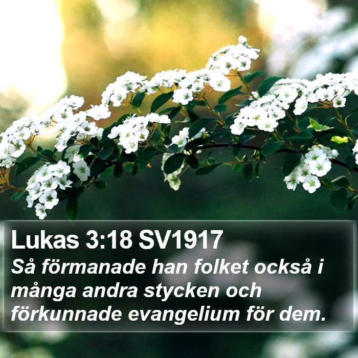 Lukas 3:18 SV1917 Bible Study