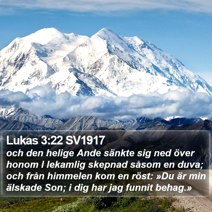 Lukas 3:22 SV1917 Bible Study